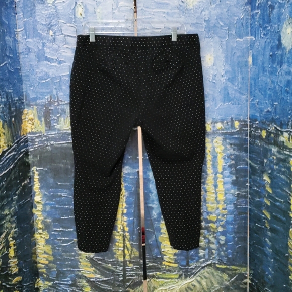 Talbots 14P Skinny Ankle Pants - Picture 2 of 3